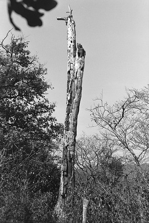 14 Omar Véliz - Ilford FP4 125 Plus por Arca Film Lab (Mayo 2024) - Rollo 0060