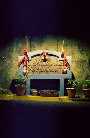 34 Carlos Castro - Cinestill 800T por Arca Film Lab (Enero 2025) - Rollo 0592
