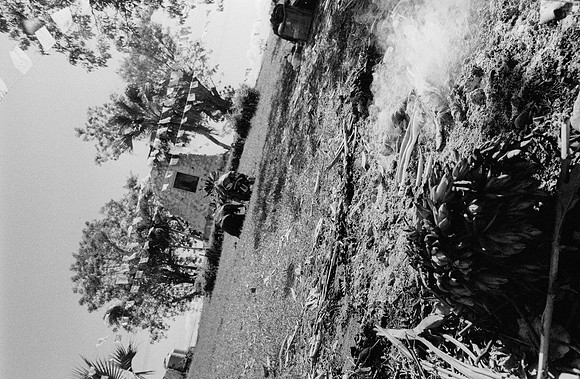 20 Guilia Trobbiani - Ilford HP5+ 400 por Arca Film Lab (Abril 2025) - Rollo 0932