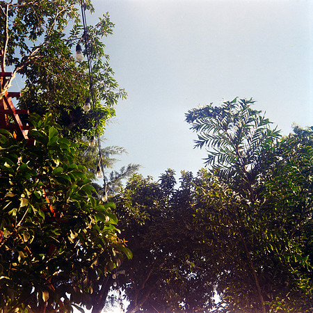 04 Mauricio Salguero - Kodak Gold 200 120 por Arca Film Lab (Septiembre 2024) - Rollo 0355