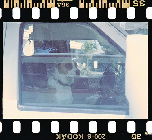 33 Rodrigo Gonzalez - Kodacolor 200 por Arca Film Lab (Junio 2025) - Rollo 1117