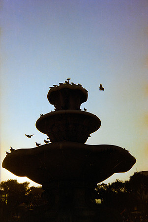26 Constanza Close - Kodak Gold 200 por Arca Film Lab (Mayo 2024) - Rollo 0063