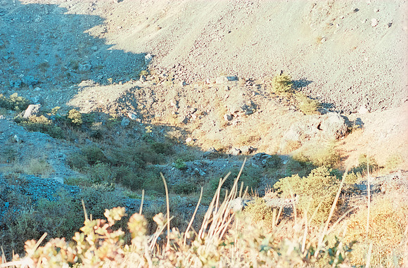 35 Gerardo Recinos - Kodak Aerocolor IV por Arca Film Lab (Abril 2025) - Rollo 0938