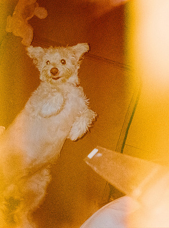 14 Sebastián Barillas - Kodak Ultramax 400 por Arca Film Lab (Febrero 2025) - Rollo 0784