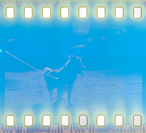 15 Omar Véliz - Kodak Portra 400 por Arca Film Lab (Agosto 2024) - Rollo 0300
