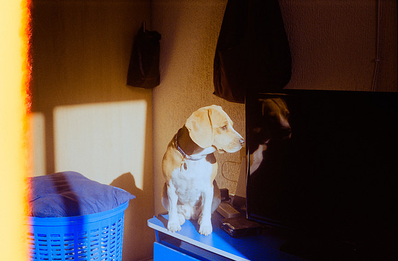 01 Roberto Barco - Fujifilm 200 por Arca Film Lab (Noviembre 2024) - Rollo 0457
