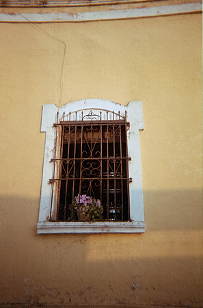 30 José David Fuentes - Fujifilm 200 por Arca Film Lab (Julio 2024) - Rollo 0174