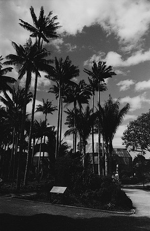 03 Ovald Barrientos - Fomapan 100 por Arca Film Lab (Marzo 2025) - Rollo 0856