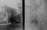 14 Marie - Ilford HP5+ 400 por Arca Film Lab (Junio 2025) - Rollo 1115
