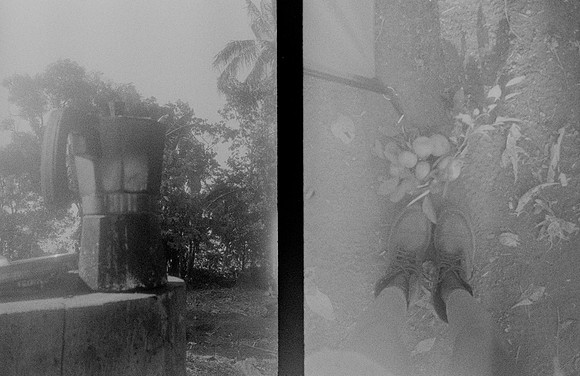 14 Marie - Ilford HP5+ 400 por Arca Film Lab (Junio 2025) - Rollo 1115