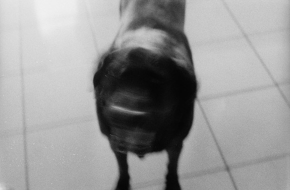 05 Hael López - Lomography Lady Grey por Arca Film Lab (Mayo 2025) - Rollo 1066