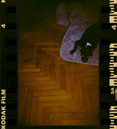 03 Shirley Brakiti - Kodak Gold 200 por Arca Film Lab (Julio 2024) - Rollo 0186