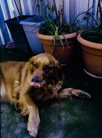 05 Eyleen Menchú - Kodak Ultramax 400 por Arca Film Lab (Enero 2025) - Rollo 0629