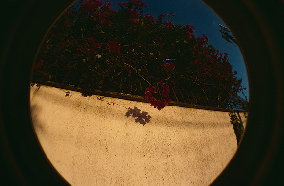 02 Natalia Mendoza - Cinestill 400D por Arca Film Lab (Marzo 2025) - Rollo 0805