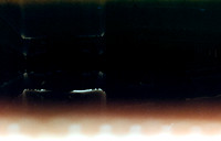 04 Francine Torón - Amber 200T - Arca Film Lab (Julio 2024) - Rollo 0139