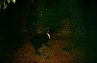 03 Natalia Mendoza - Harman Phoenix 200 por Arca Film Lab (Abril 2025) - Rollo 0930