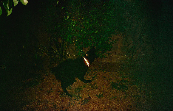03 Natalia Mendoza - Harman Phoenix 200 por Arca Film Lab (Abril 2025) - Rollo 0930