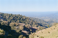 12 Harry Leath - Kodak Gold 200 por Arca Film Lab (Marzo 2025) - Rollo 0816