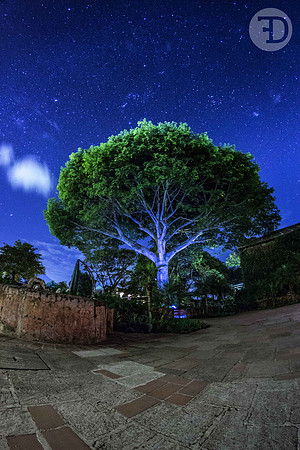 Vía Láctea en la "Antigua Guatemala"