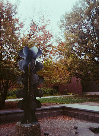 16 Eyleen Menchú - Kodak Ultramax 400 por Arca Film Lab (Enero 2025) - Rollo 0630