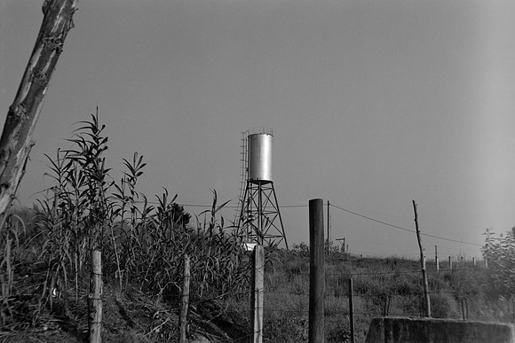 23 Ivan Ortíx - Kodak BW400CN por Arca Film Lab (Abril 2024)