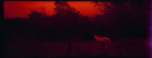 18 Ovald - Lomography Redscale por Arca Film Lab (Junio 2025) - Rollo 1140