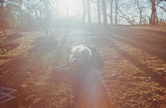 03 Ángel Elías - Kodak Gold 200 por Arca Film Lab (Noviembre 2024) - Rollo 0439