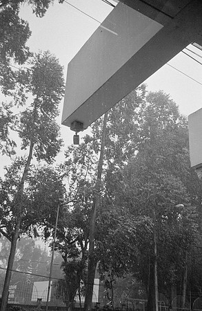 03 Carmen Tórres - Ilford HP5+ 400 por Arca Film Lab (Septiembre 2024) - Rollo 0334