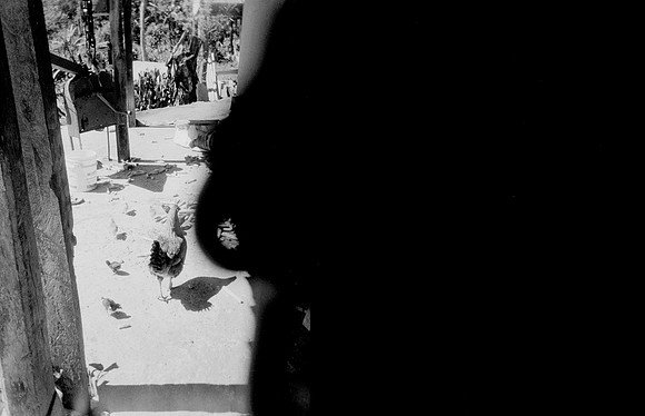 19 Melissa Paises - Ilford HP5+ 400 por Arca Film Lab (Febrero 2025) - Rollo 0686