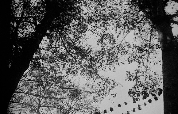 30 Mónica Minondo - Ilford HP5+ 400 por Arca Film Lab (Febrero 2025) - Rollo 0762