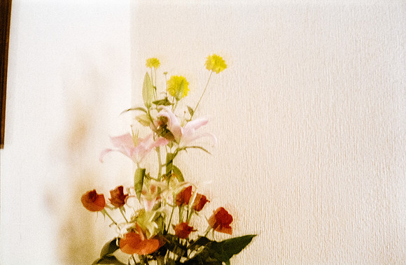 16 Roberto Barco - Fujifilm 200 por Arca Film Lab (Noviembre 2024) - Rollo 0458
