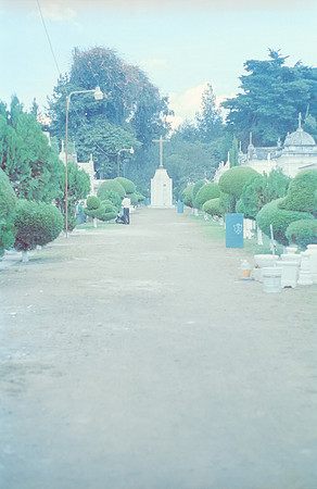 25 Sofía Ramos - Kodak Portra 400 por Arca Film Lab (Noviembre 2024) - Rollo 0455