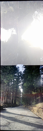15 Oscar del Cid - Kodak Portra 400 por Arca Film Lab (Mayo 2024) - Rollo 0079
