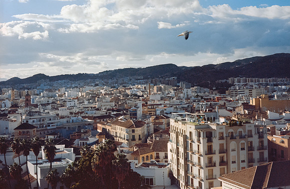 06 Cristina Benítez - Kodak Ektar 100 por Arca Film Lab (Noviembre 2024) - Rollo 0442