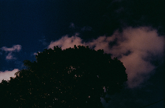02 Alexander Daum - Fujifilm 200 por Arca Film Lab (Diciembre 2024) - Rollo 0559