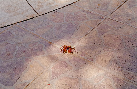 09 Marco Arriola - Fujifilm 200 por Arca Film Lab (Mayo 2025) - Rollo 1085