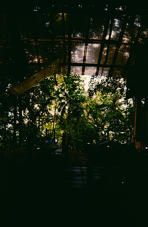 14 Valeria Minera - Kodak Gold 200 por Arca Film Lab (Abril 2025) - Rollo 0961
