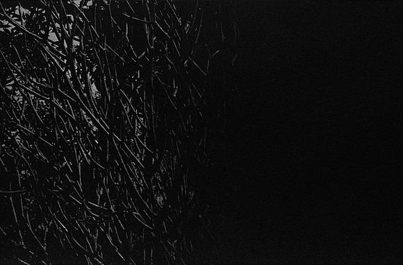 04 Alexander Daum - Ilford XP2 400 por Arca Film Lab (Enero 2025) - Rollo 0633