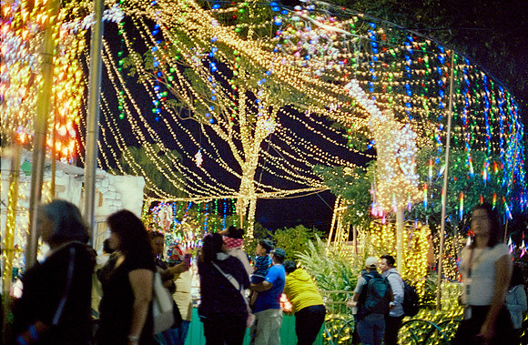 14 Carlos Castro - Cinestill 800T por Arca Film Lab (Enero 2025) - Rollo 0592