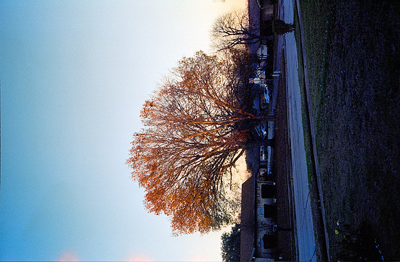 19 Paulo Contreras - Cinestill 800T - Arca Film Lab - Rollo 0613