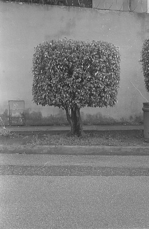 11 Vivian Kotouch - Ilford HP5+ 400 por Arca Film Lab (Noviembre 2024) - Rollo 0416
