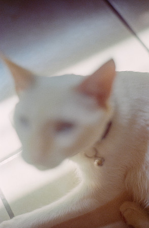 24 Abraham Castillo - Fujifilm 400 por Arca Film Lab (Junio 2025) - Rollo 1118