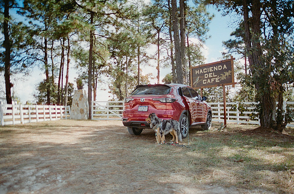 19 Omar Véliz - Cinestill 400D por Arca Film Lab (Enero 2025) - Rollo 0681