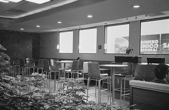 07 Carmen Tórres - Ilford HP5+ 400 por Arca Film Lab (Septiembre 2024) - Rollo 0334