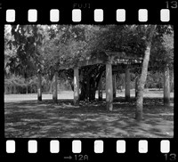 12 Omar Véliz - Neopan SS 100 por Arca Film Lab (Agosto 2024) - Rollo 0301