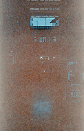 09 Lucía Paíz - Kodak Gold 1600 por Arca Film Lab (Mayo 2025) - Rollo 1047