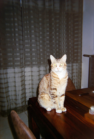 20 Andrea Domíngues - Fujifilm 400 por Arca Film Lab (Mayo 2024) - Rollo 0071