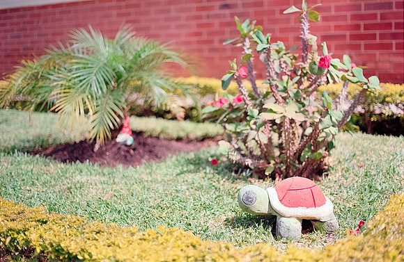 11 Carlos Quintero - Kodak Gold 200 por Arca Film Lab (Septiembre 2024) - Rollo 0374