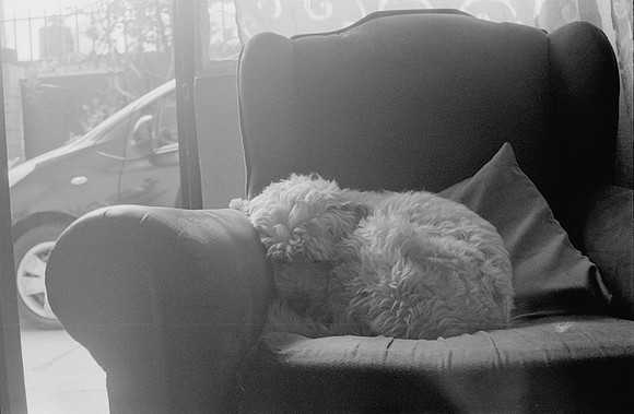 30 Fernando Peña - Ilford HP5 Plus 400 por Arca Film Lab (Agosto 2024) - Rollo 0246