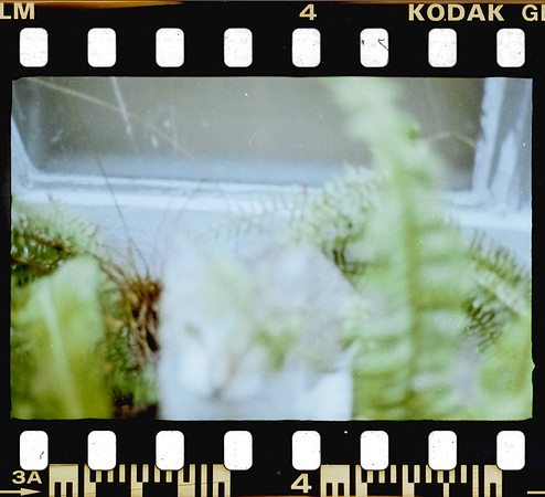 00003 Jhenifer León - Kodak Gold 200 - Arca Film Lab (Noviembre 2024) - Rollo 0451